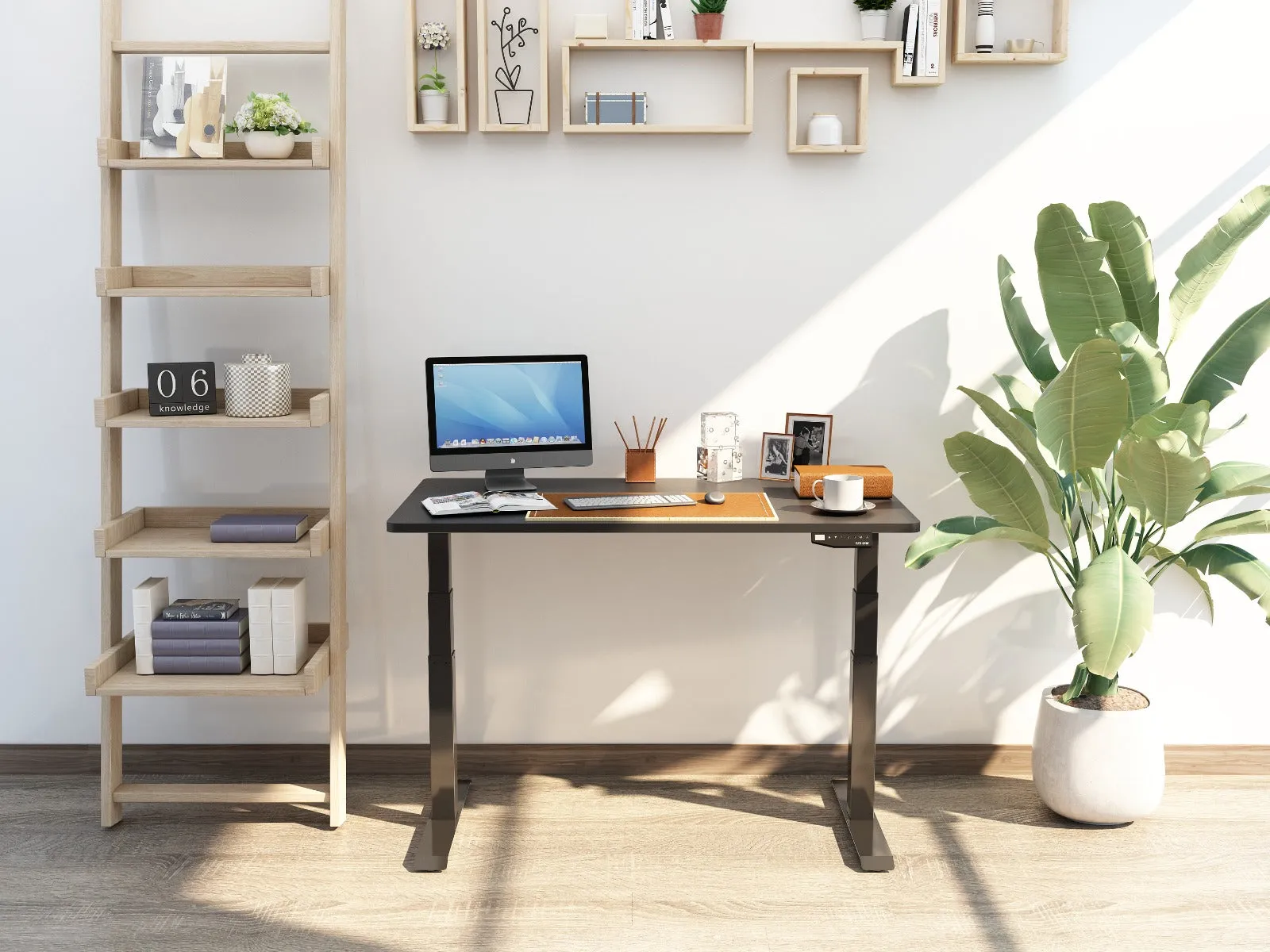 Adjustable Sit/Stand Desk - Dual Motor Frame - Humb