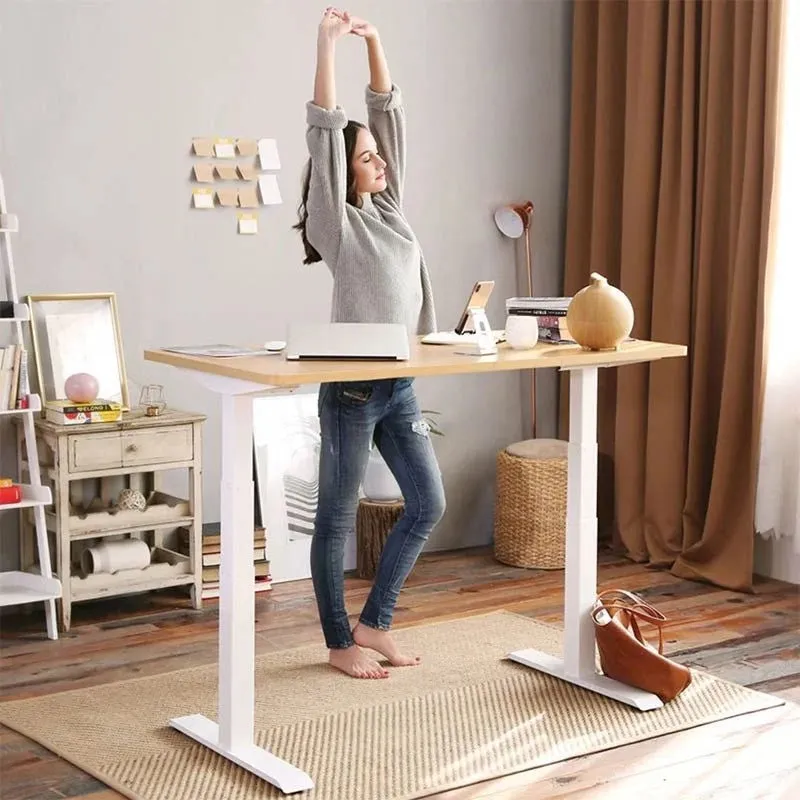 Adjustable Sit/Stand Desk - Dual Motor Frame - Humb