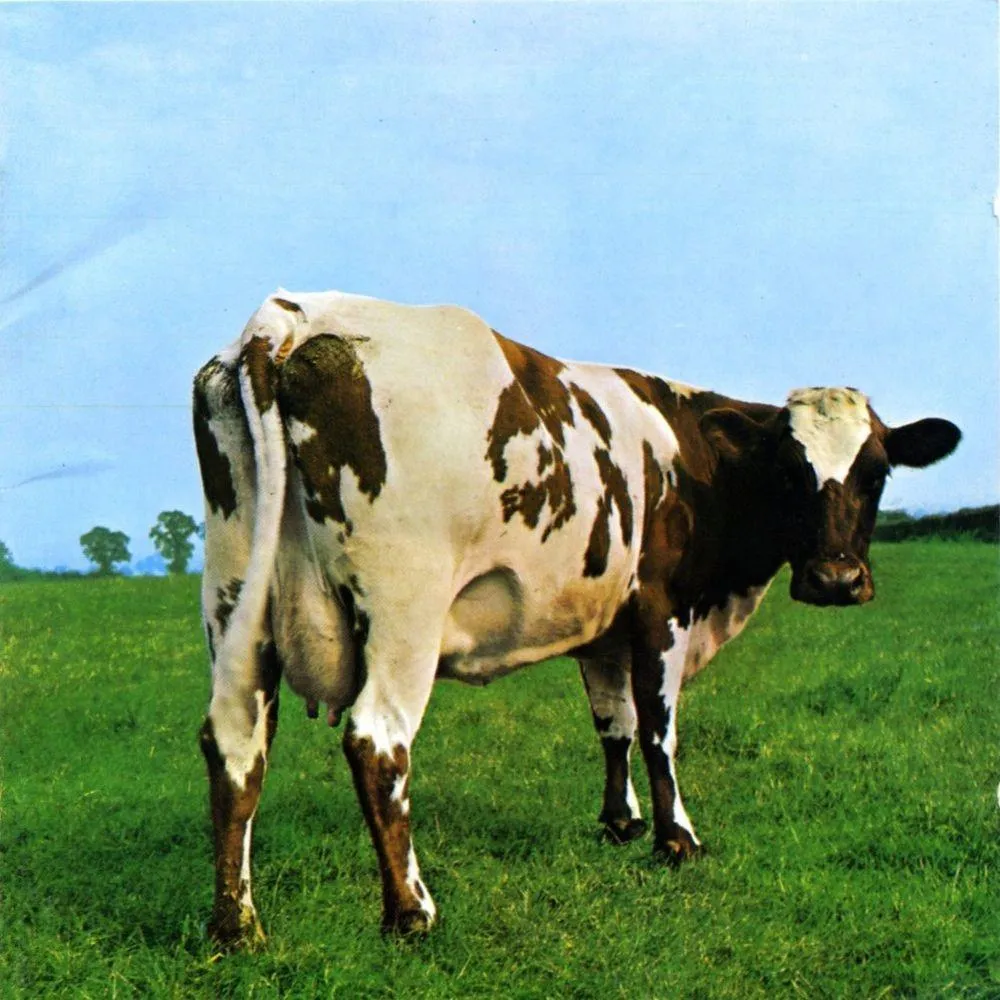 Atom Heart Mother (2016 Reissue)