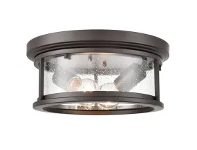 Bresley Outdoor Flush Mount Fixture - Powder Coated Bronze - Clear Seeded Glass - 12in. Diameter - E26 Medium Base