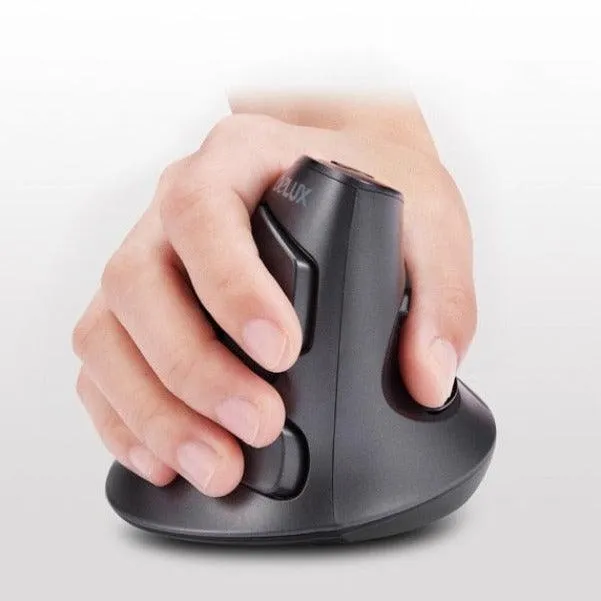 Delux M618GX 2.4Ghz Wireless Ergonomic Mouse: Wrist friendly mouse with palm rest and 6 buttons