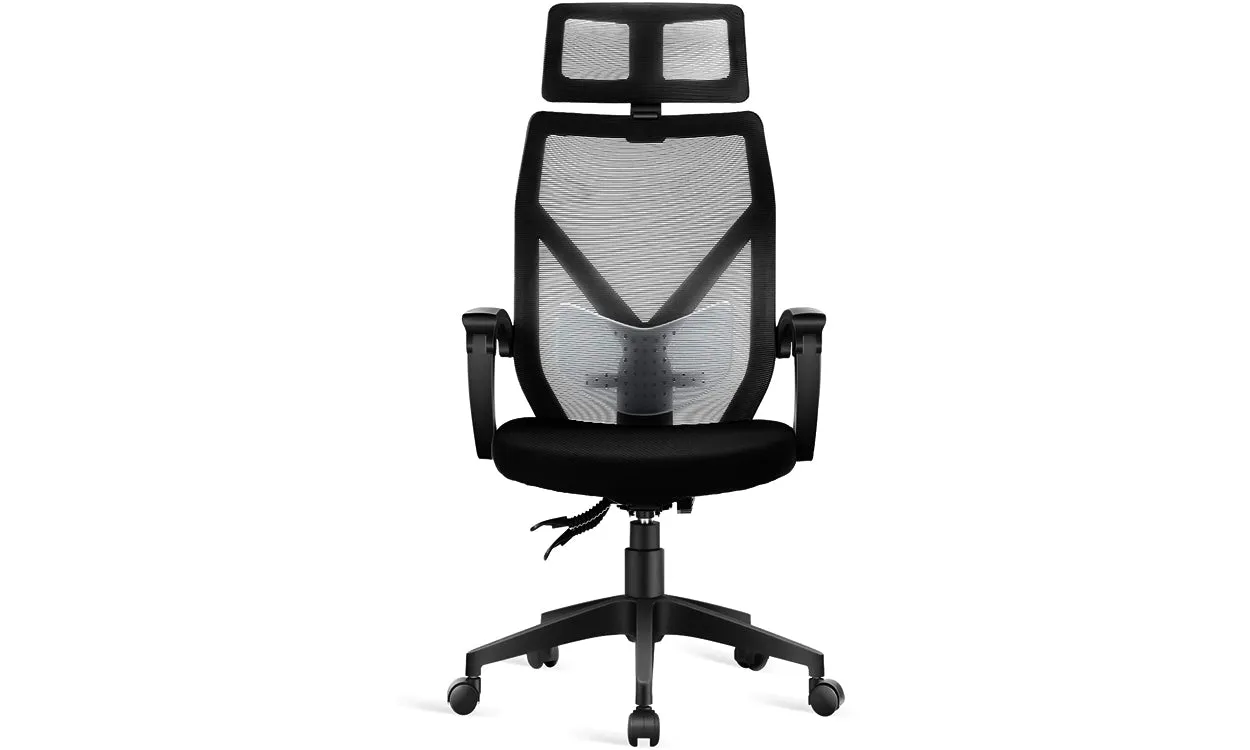 Dripex Ergonomic Office Chair