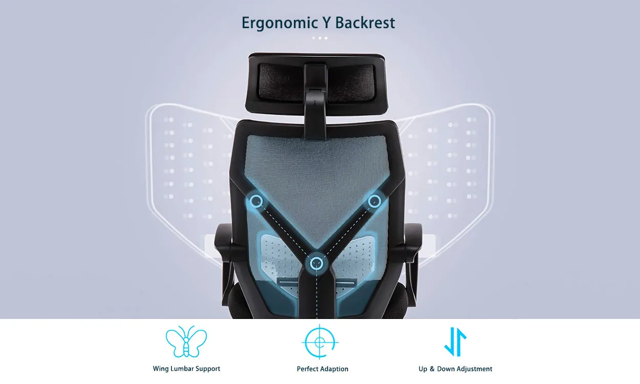 Dripex Ergonomic Office Chair