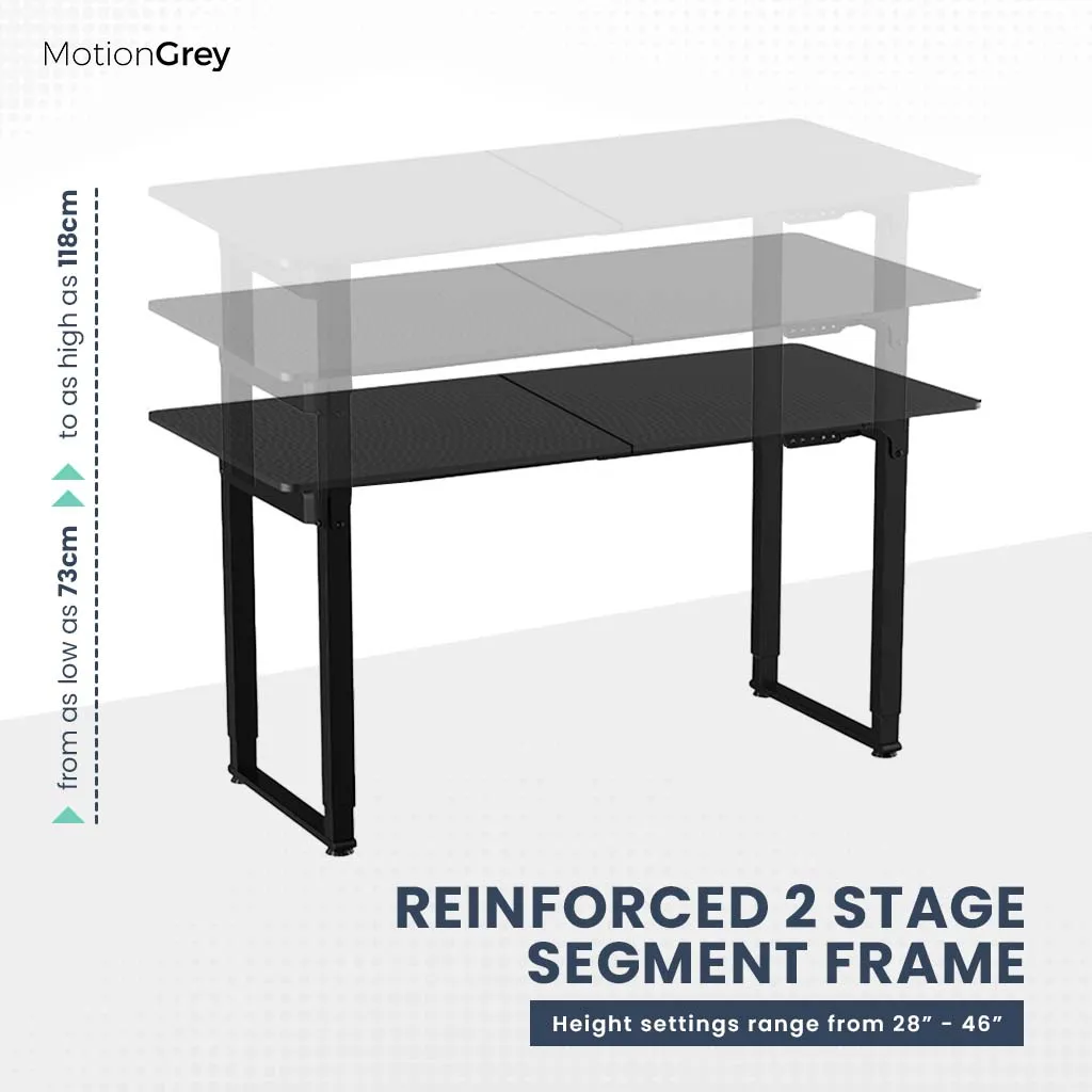 Ergo2 Pro Series Standing Desk