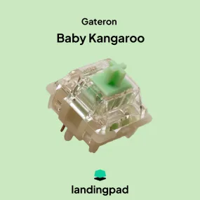 Gateron Baby Kangaroo 2.0 / Raccoon 2.0 Switch