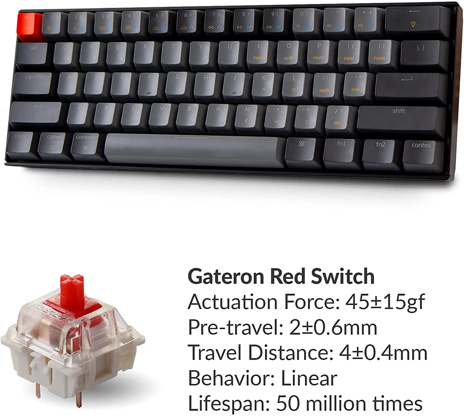 Keychron K12 60% Layout with White LED Backlight N-Key Rollover, Compact 61 Keys Computer Keyboard (Gateron Red Switch) (K12B1)