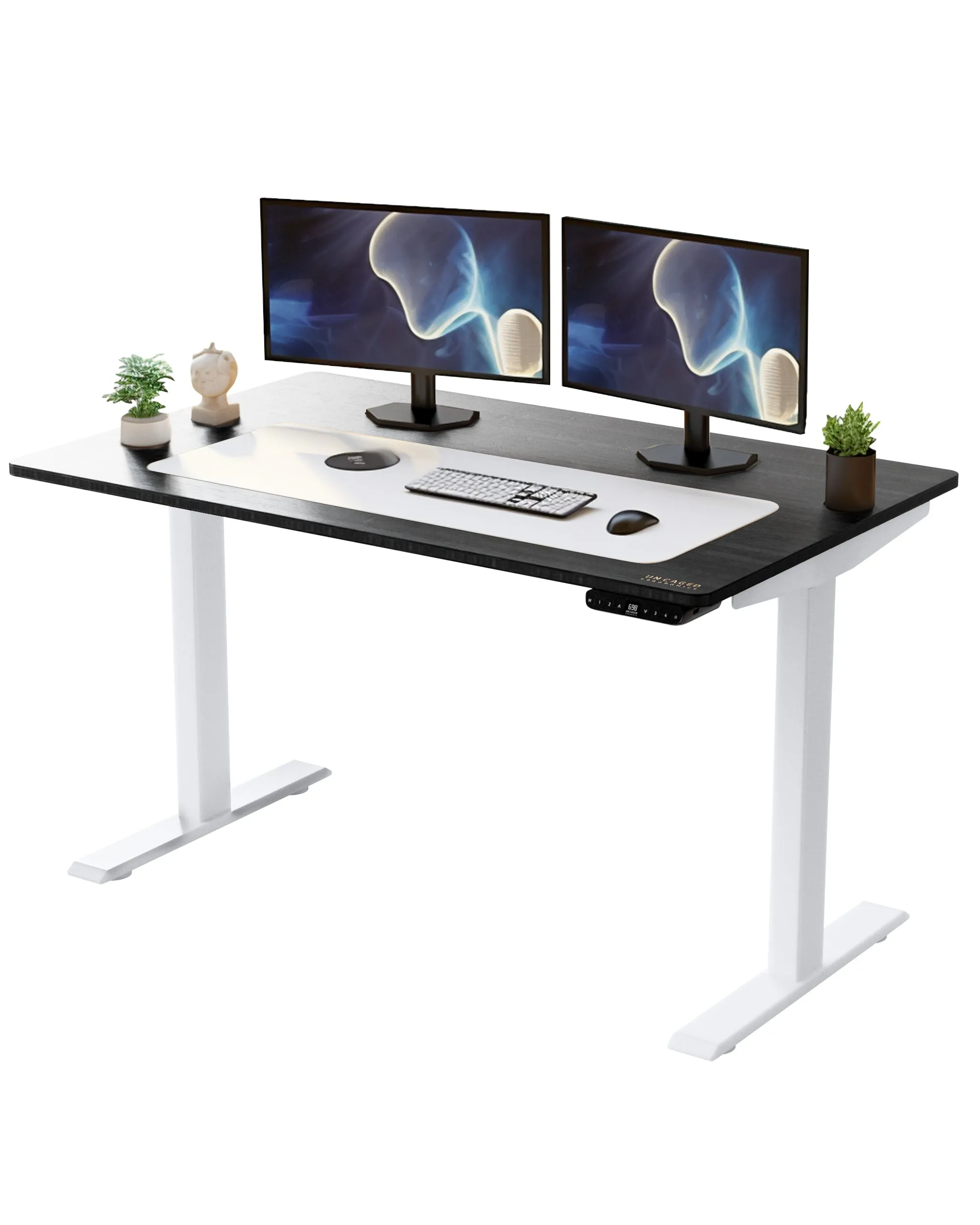 Rise Up - electric adjustable height standing desk