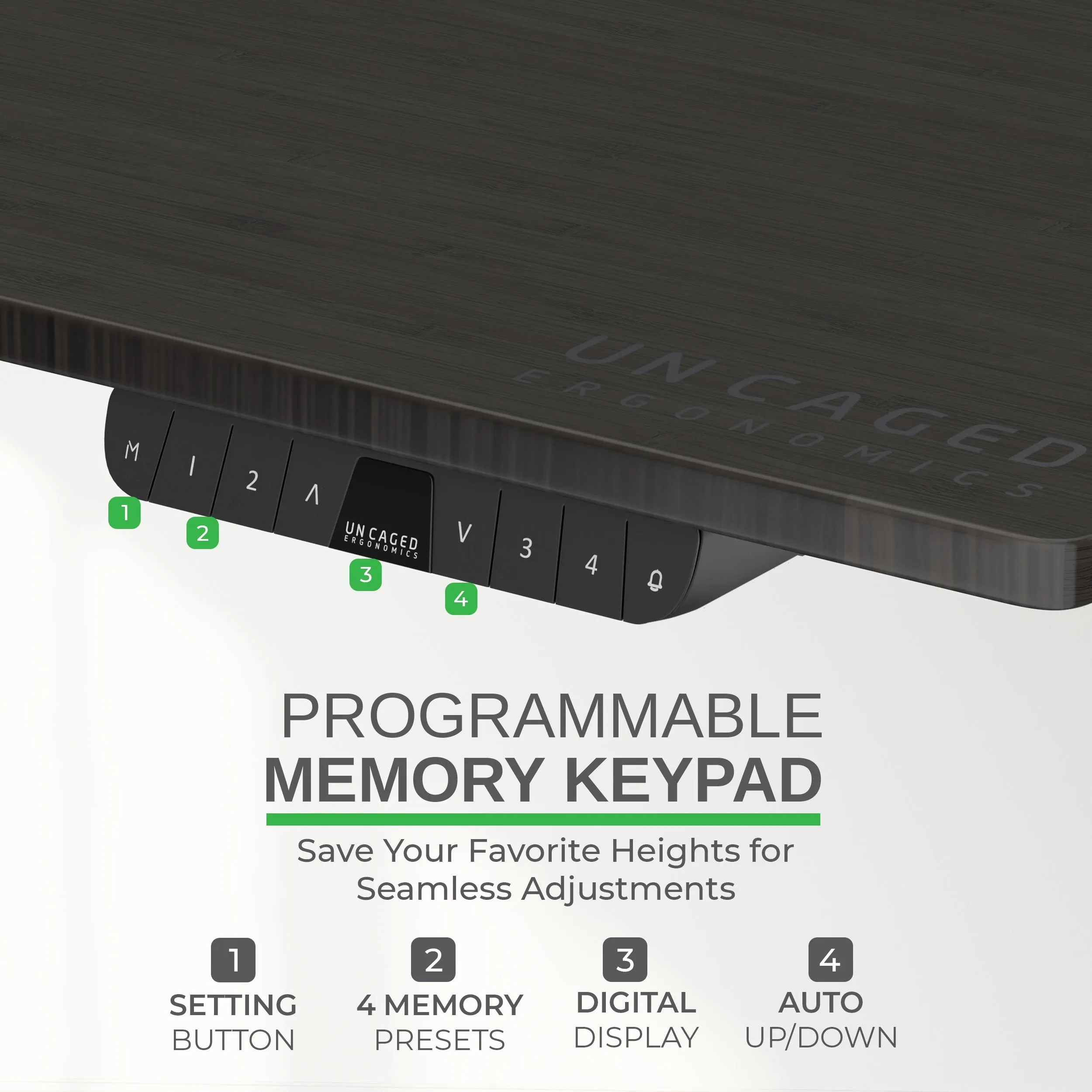 Rise Up - electric adjustable height standing desk