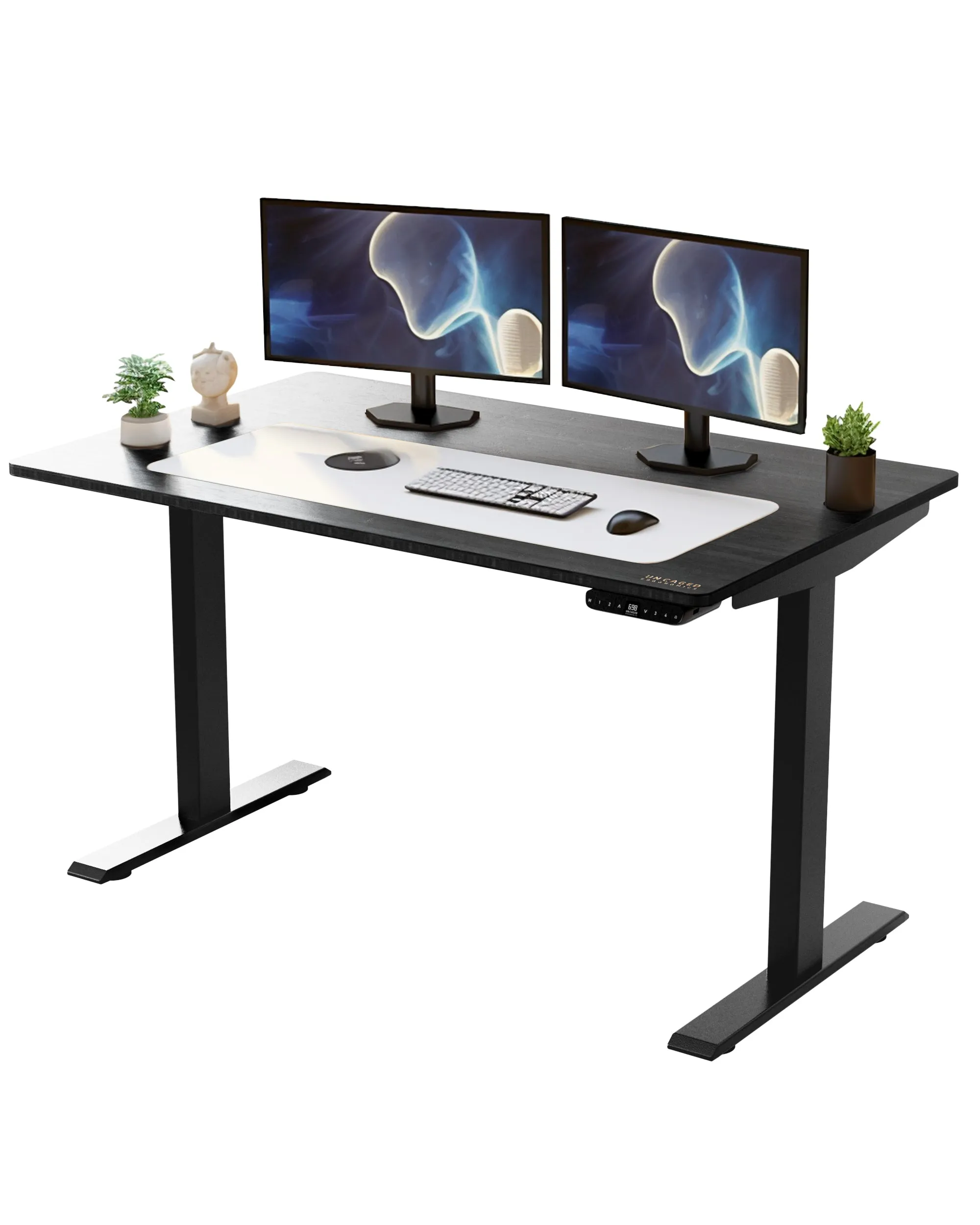 Rise Up - electric adjustable height standing desk