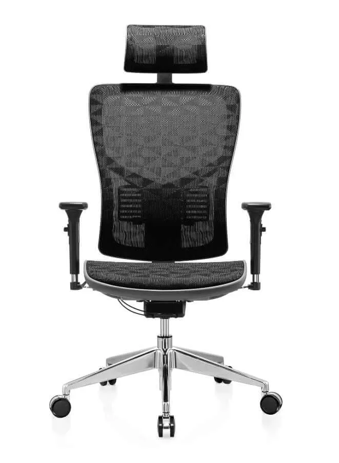 Soft and Comfortable Ergonomic Office Chair with Headrest, Back Support and Nylon Base Legs for Office and Home