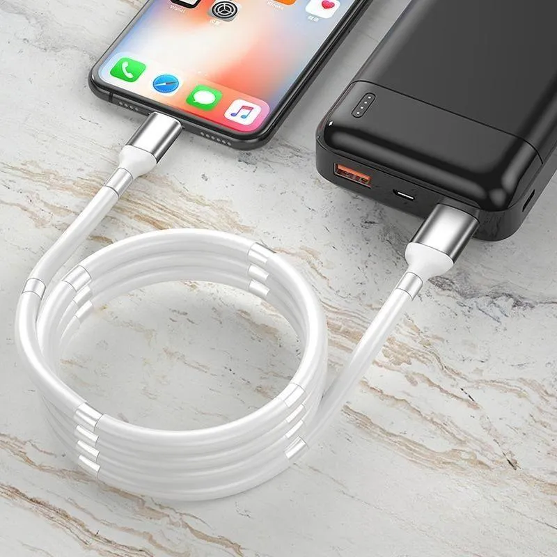 Tangle Free Self Winding  Magnetic Data Charging Cable - Type C (1m)